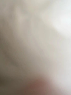 A19160cf6373843deaee12a9dc6b6807dG.jpg